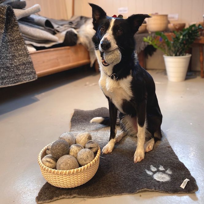 Hovedbilde Lekeball til hund