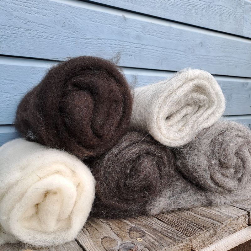 Kardeflak - Blæset sau