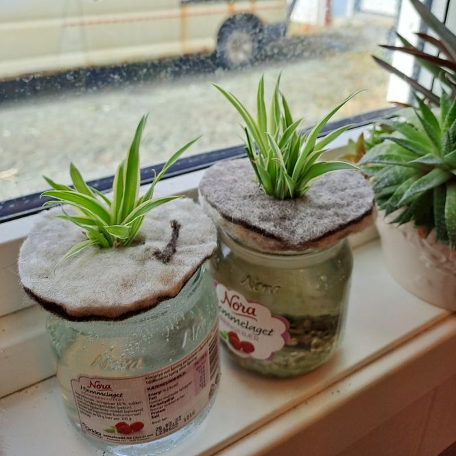 Hovedbilde Avleggerholder 2pk