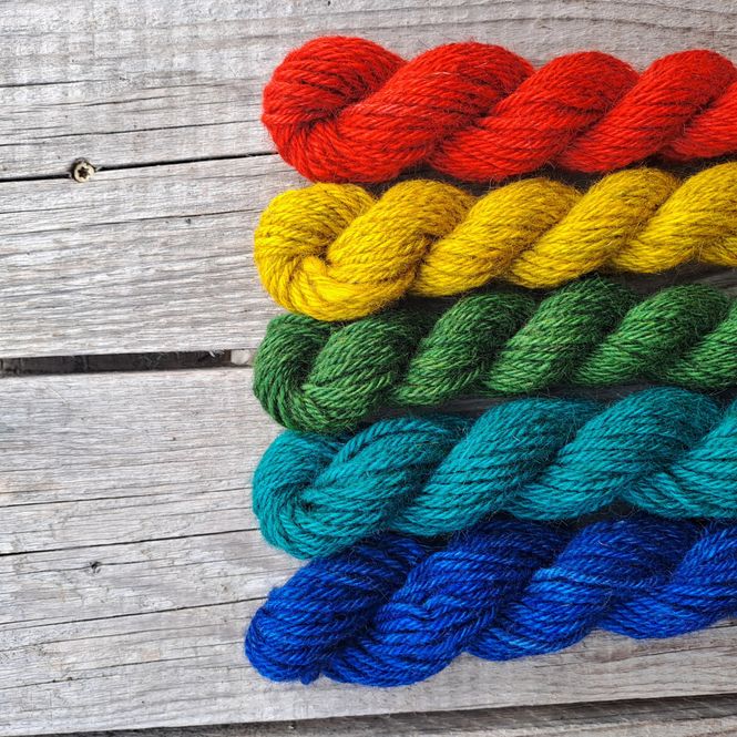 Hovedbilde Stuggu Begeistret Bajas