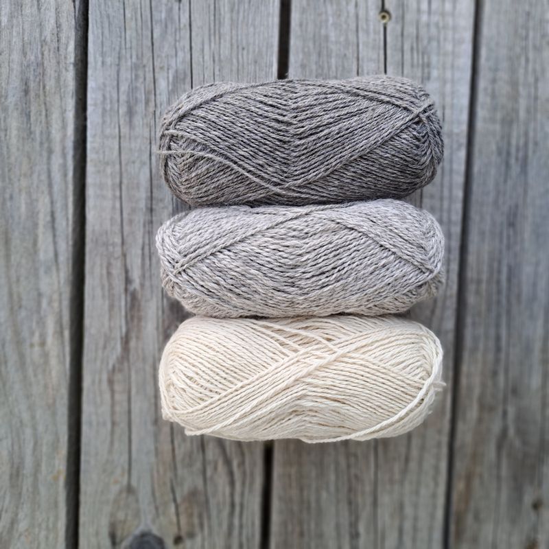 Strikkepakke - Smårutavott samojed