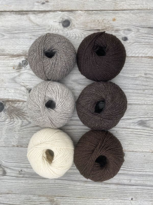 Strikkepakke - Påfugljakke