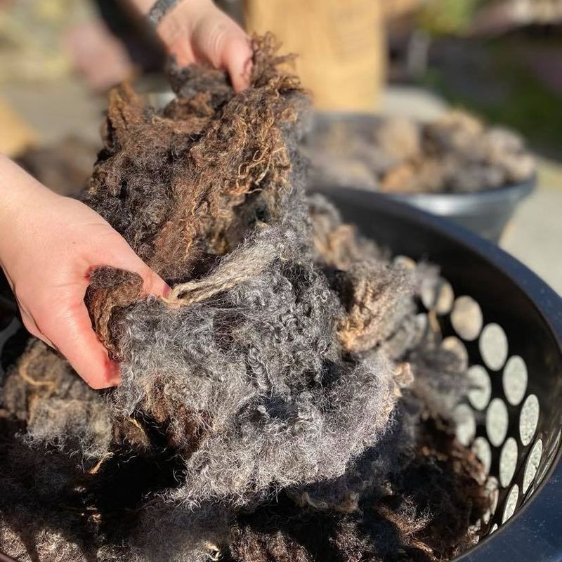 Kurs i Ullsortering - 28. September 2025