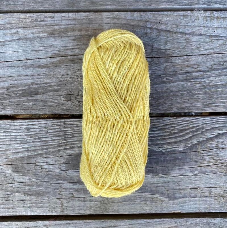 Strikkepakke - Enkel selbuvott dame