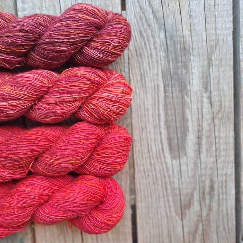 Følgesvenn - Magisk desember