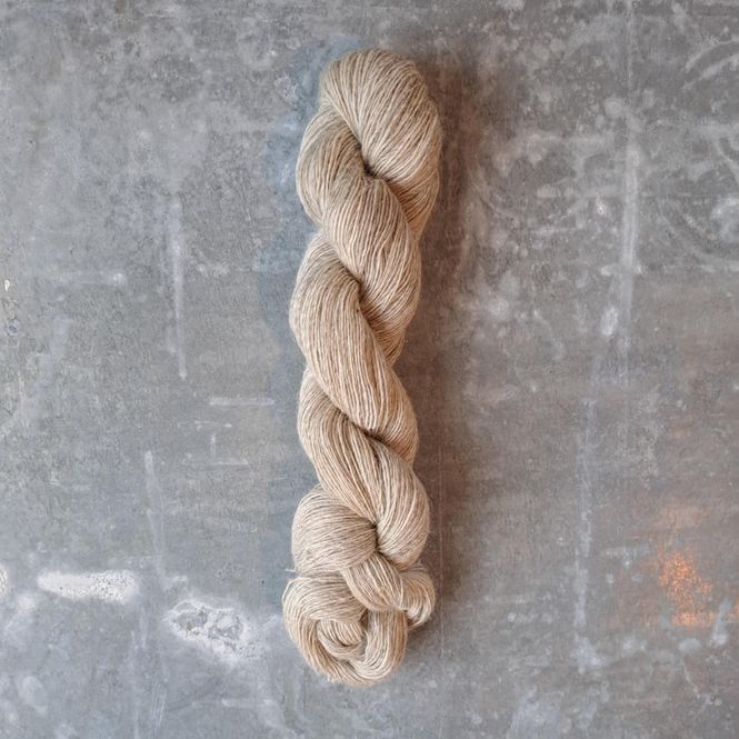 Hovedbilde Følgesvenn - Hvitgrå