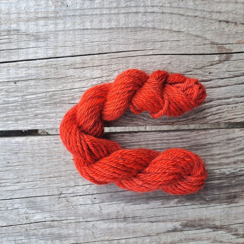 Stuggu Begeistret Bajas